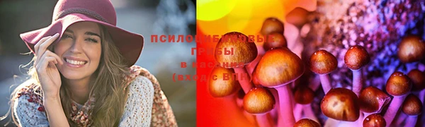 а пвп мука Алексеевка