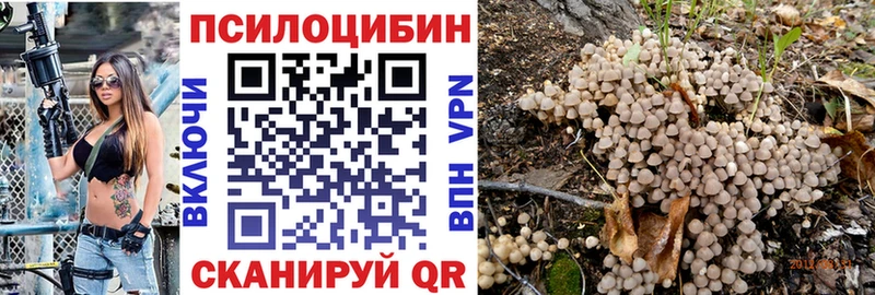 Псилоцибиновые грибы прущие грибы Глазов