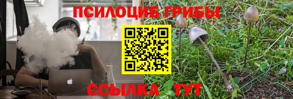 Галлюциногенные грибы Cubensis Глазов
