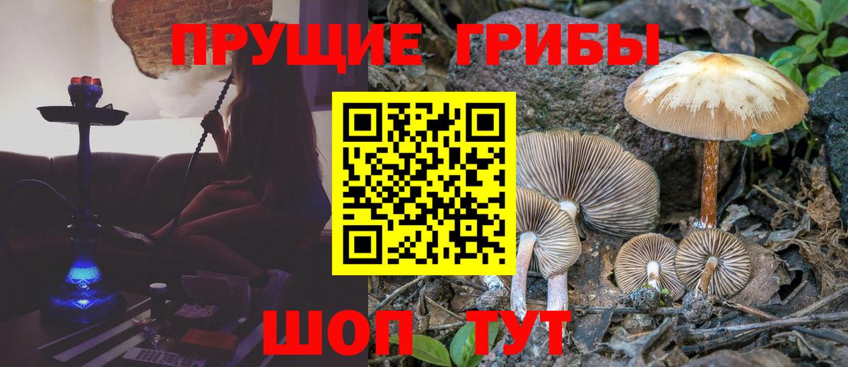 Глазов  Галлюциногенные грибы мухоморы  Вход с VPN 