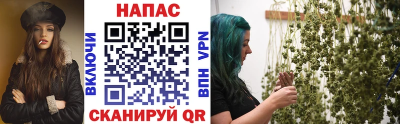 MEGA онион  Глазов  Канабис семена 